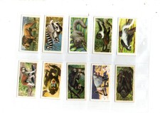 AFRICAN WILDLIFE FULL ALBUM + FULL SET SLEEVED CARDS ISSUED  BROOKE BOND 1961 VG