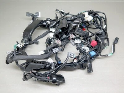 Arnés de cableado principal genuino Honda CBR1000RR SC82 32100-MKR-DH01 usado Foto 1 de 4