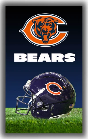 Chicago Bears Football Team Helmet Flag 90x150cm 3x5ft best banner Cover