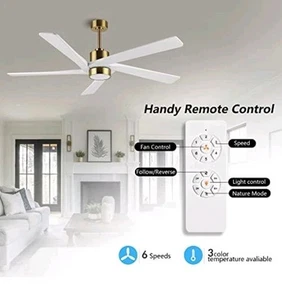 WINGBO 54 Inch DC Ceiling Fan with Lights and Remote Control, 5 Reversible Carve - Picture 1 of 3