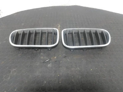 Par de rejillas para riñón BMW X3 F25 2010-2017   Foto 1 de 4