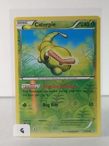 Caterpie - XY Flashfire - 1/106 - Reverse Holo - G - Foto 1 di 5