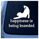 Happiness Is Being Kneeded - Cat - White Vinyl Decal Car Window Laptop Tablet
