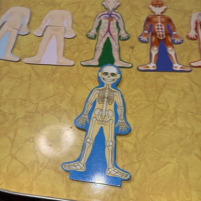 Melissa & Doug Juego Magnético de Anatomía del Cuerpo Humano con Piezas Magnéticas Foto 1 de 4