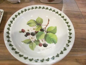 * 2 Portmeirion Pomona Suppe Pasta Schalen Apfel, Brombeere, 8 5/8" - Bild 1 von 4