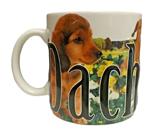 Taza Americaware Dachsund 2014 palabras en relieve 4 imágenes de perros 18 oz café té sopa - Imagen 1 de 8