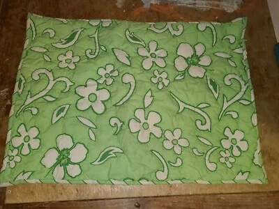 Pottery Barn Teen "Hibisco/Rayas Verde/Blanco" Acolchado Estándar Falsa Foto 1 de 3