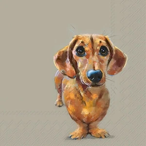 SU servilleta perro salchicha Lenny 20 uds. 33x33cm impresión unilateral motivo cuatro piezas - Imagen 1 de 1