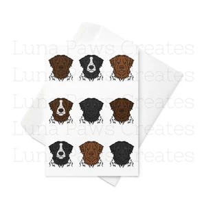 Stabyhoun card, Stabyhoun Birthday Card Dog Print Card, Dog Card - Picture 1 of 4