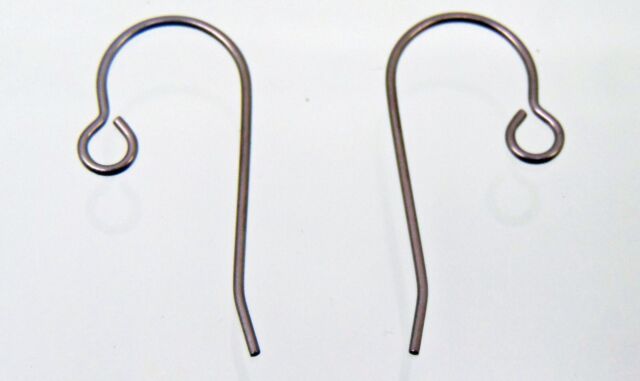 24pcs 20G Big Pure Titanium Earring Fish Hooks with 50pcs Silicone Earring  Backs DIY Earrings Findings for Jewelry Making, Hypoallergenic Earring Hooks  Making Kit for Women Men Sensitive Ears 