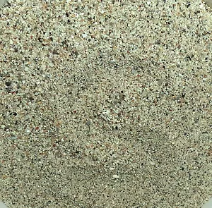 Coarse Sea Sand from New Beach, Sarande, Albania. 70 gr or 2,5 oz - Picture 1 of 1