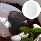  30 Pcs Simulated Pigeon Eggs Injection Molding White Fake Solid Bird