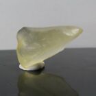 32.75Ct Libyan Desert Glass Crystal Gem Mineral Egypt Golden Tektite Silica D05