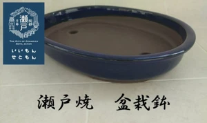 Japanese bonsai pot "Seto ware bonsai pot" - Picture 1 of 13