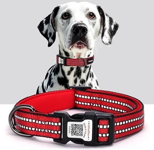 Reflektierendes Hundehalsband mit QR-Code-Tag, personalisiertes Hundehalsband, Safety Night Vi - Bild 1 von 25