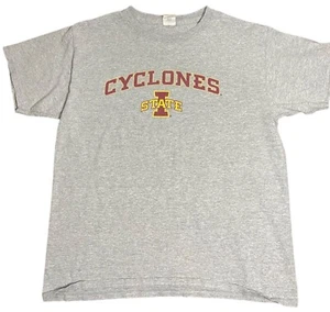 Iowa State Cyclones Gildan Heavy Cotton Gray T-Shirt Kids Size Large - Picture 1 of 11