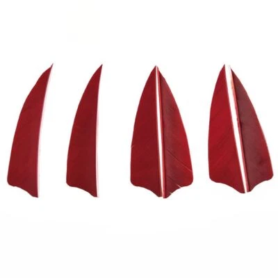 50pcs 3''4" 5'' Arrow Turkey Feather Natural Fletches Archery RW LW Arrows DIY - Image 1 of 4