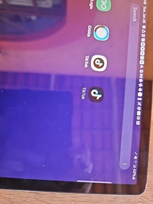 Verizon Samsung Galaxy S9+ con aplicación TikTok instalada  Foto 1 de 4