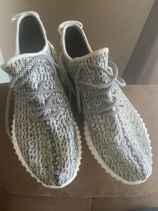 yeezy turtle dove front