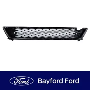 GENUINE FORD FALCON FGX & XR SPRINT FRONT LOWER BUMPER GRILLE XR8 OR XR6 - Picture 1 of 2