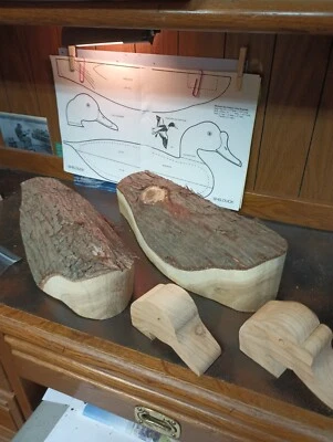 Shelduck.  Cedar Block Caving Kit - Image 1 of 4