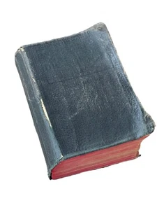 Webster's New Modern English Dictionary 1925 Radio Edition Illustrated Vintage - Picture 1 of 10