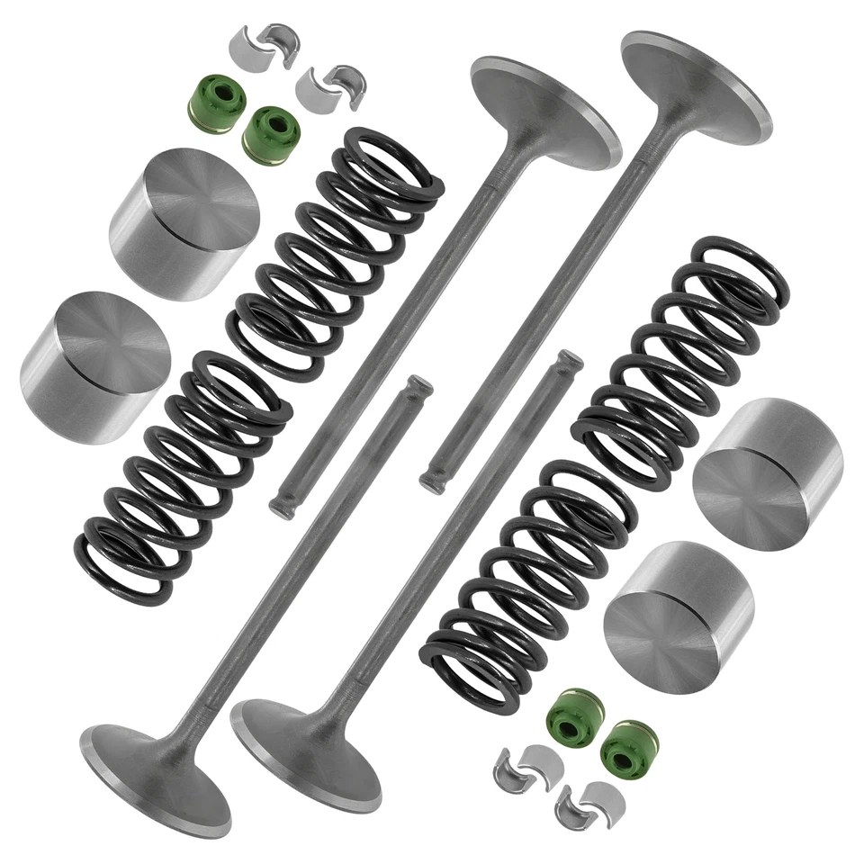 Kit de válvula de admisión de motor 3007-152 3402-226 3007-625 3402-851 para Arctic Cat Foto 1 de 4