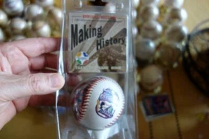Arizona Diamondbacks DBacks 2001 World Series Champion SE Fotoball Baseball NEW - Picture 1 of 5