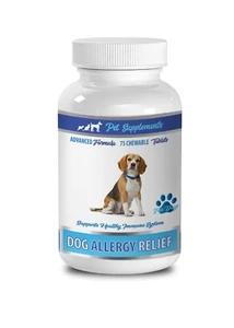 turmeric blend pet - ALLERGY RELIEF FOR DOGS - nettle for pets - 1 Bottle - Picture 1 of 7
