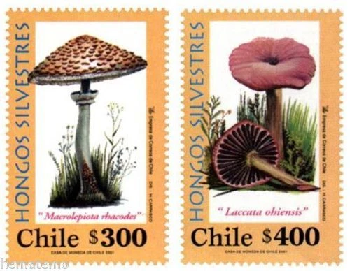 Chile 2001 #2064-65 Hongos Silvestres MNH Foto 1 de 1