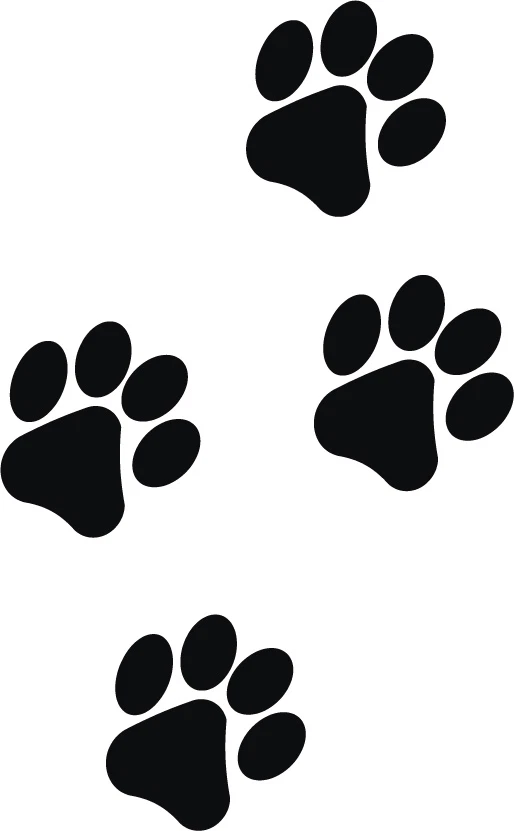 STICKER DECAL VINYL Eight Paw Prints Pet Cat Dog Kitten Puppy Vinyl Decal Car Window Bumper Sticker