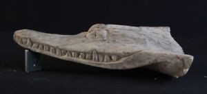 Old and used Crocodile Canoe Head from the Sepik - Papua New Guinea 