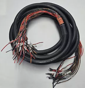 Canare MR202-32AT 32-Kanal Audiokabel Schlange 25 Fuß - Bild 1 von 1