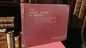 EADWEARD MUYBRIDGE The Human Figure in Motion 1901 fotografia RARO - Picture 1 of 8