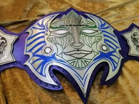TNA JEFF HARDY BELT WRESTLING CHAMPIONSHIP BELT ADULT SIZE REPLICA BELT 2MM Cover