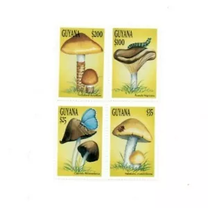 Guyana 1999 - Mushrooms - Set Of 4 Stamps - Scott #3393-96 - MNH - Picture 1 of 1