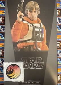 Hot Toys Star Wars Empire Strikes Back Anniversary Luke Skywalker MMS585 1/6