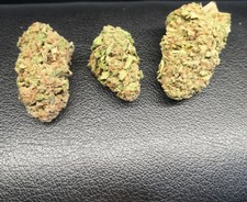 Therapy 50 unità top quality ????