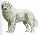 Great Pyrenees - CUSTOM MATTED - 1988 Vintage Dog Art Print - Cozzaglio