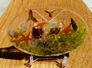 Novelty Home Decor Ocean Sea Shells Beach Art Ornament Paperweight Nautical ss23 - Picture 1 of 1