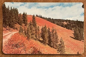 Spring Hill on the Old Lolo Trail, Idaho ID, Vintage Chrome Postcard - Picture 1 of 2