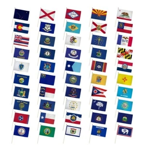 Set of 50 State 12x18in American USA States Handheld Stick Flags for Classrooms - Picture 1 of 2