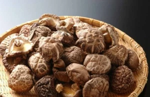 100% ORGANIC TOP GRADE DRIED SHIITAKE CHINESE MUSHROOM 1 LB (16 Oz) 4-5 cm - Picture 1 of 7