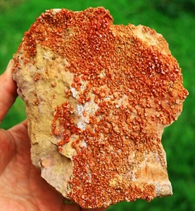 6" Superb Cherry Red Vanadinite Crystals on Matrix,  Morocco! V307 - Picture 1 of 4