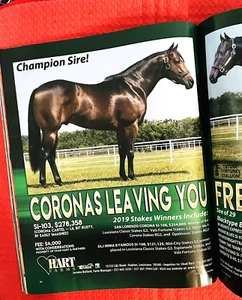 2019 QUARTER HORSE RACING - “TRACK” journal, book - MR JESS PERRY - HAWKEYE - Picture 1 of 24