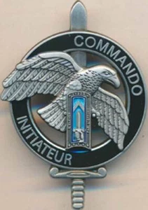 Brevet Commando Initiateur ECOLE, ENSOA, épingle sertie Bouss. GS 420 (10214) - Imagen 1 de 2