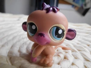 petshop authentic LPS bébé singe capucin baby monkey rare #1925 - Picture 1 of 3