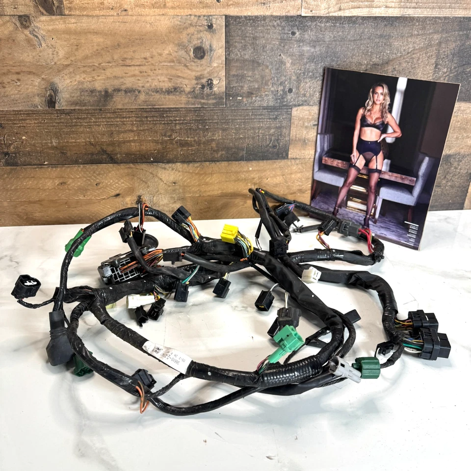 01-07 SUZUKI HAYABUSA ARNÉS DE CABLEADO MOTOR TELAR 36610-24F90 Foto 1 de 4