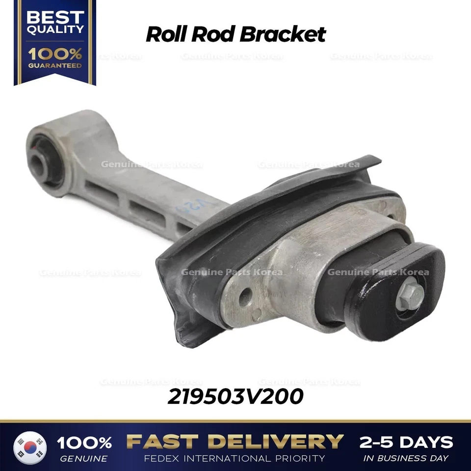 ⭐Genuino⭐ Soporte de varilla enrollable 219503V200 para Hyundai Azera Kia Cadenza Foto 1 de 1