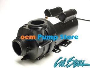 Cal Spa 5 PS Pumpe PUM22000927 2002-2005 PL391 - Bild 1 von 3